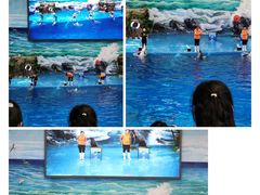 -多彩贵州城极地海洋世界