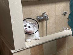 -佳雯宠物医院·皮肤科·内外科(春晓路分院)