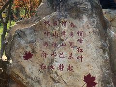 -广州市帽峰山景区