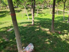 -洨河生态公园