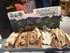 -芸山季·云南山珍菌火锅(南翔印象城MEGA店)