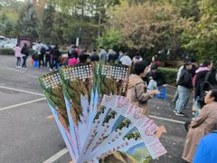 -吉林市朱雀山国家森林公园