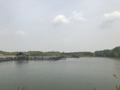 -溱湖国家湿地公园