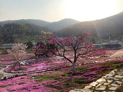 -棒棰岛宾馆景区