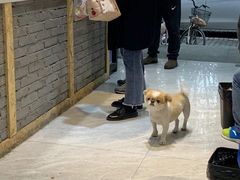 -马光荣肉丸糊辣汤(边东街店)