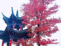 -常德桃花源景区
