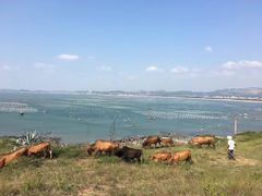 -漳州滨海火山岛自然生态风景区