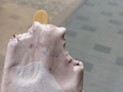小豆冰棍-康乐(滨江道店)