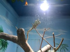 -石家庄市动物园