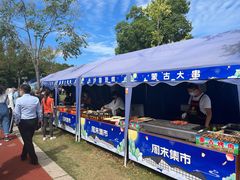 -上海长兴岛郊野公园