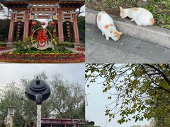 -中山公园