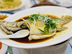 -清心鸡沙田乳鸽店·非遗传承(石溪店)
