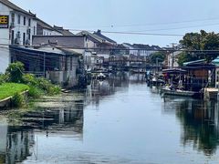 -莲花岛景区