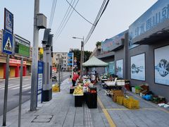 -长洲岛