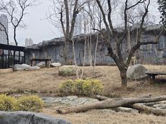-武汉动物园
