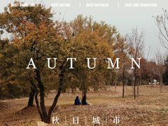 -北京西山国家森林公园