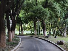 -汉水公园