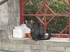-宣武艺园