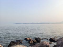 -深圳湾公园(南山区)