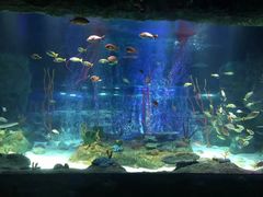 -沈阳海洋探索中心