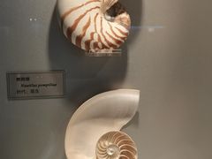 -国家自然博物馆