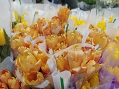 -循礼门鲜花花市(武汉循礼门店)