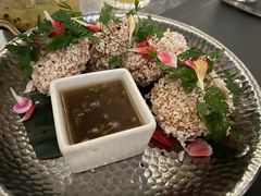 -Hi City·城市之巅