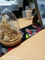 -觅屿日式脱毛美肤