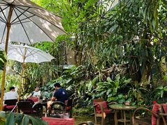 -Fern Forest Cafe