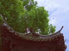-乌镇东栅景区