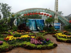 -南山植物园