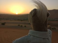 -阿布扎比沙漠皇宫酒店水疗中心