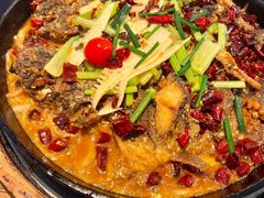 -老板恋上鱼(恒隆广场店)