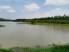 -广东花都湖国家湿地公园