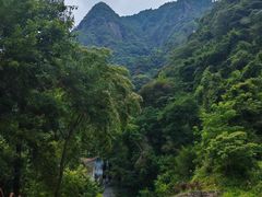 -花岩国家森林公园