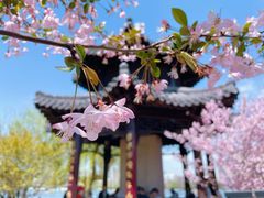 -莫愁湖公园