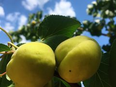 -唯一小店家常菜·兄弟餐厅