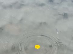 -白鹭湾湿地公园