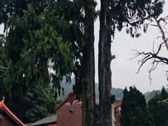 -灵光寺