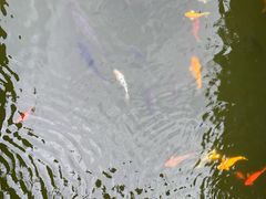 -新世界大丸百货