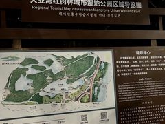 -大亚湾红树林城市湿地公园