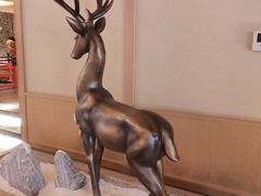 -蓝鲸湾汤泉(包河店)