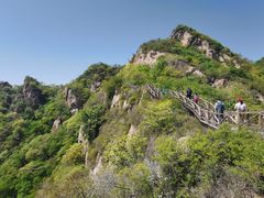 -大岭沟猕猴桃谷风景区