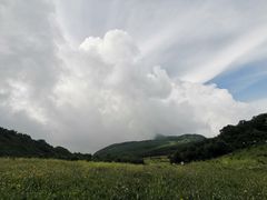 -白草畔自然风景区