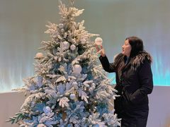 -J Create城市露营咖啡·简餐·宠物(上海动物园店)