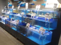 水产区-盒马鲜生(双清路店)