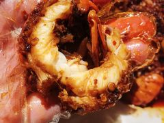 -虾胡闹·澳洲小龙虾·烧烤(福田鲨鱼店)