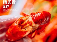 -杨氏青龙虾·羊蝎子(托乐嘉店)