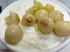 -义顺牛奶公司(新马路老店)