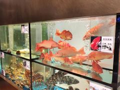 -爱丽格斯火锅(东岸国际店)